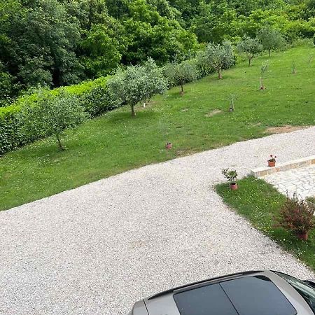 Apartment Elena Tivat Bagian luar foto