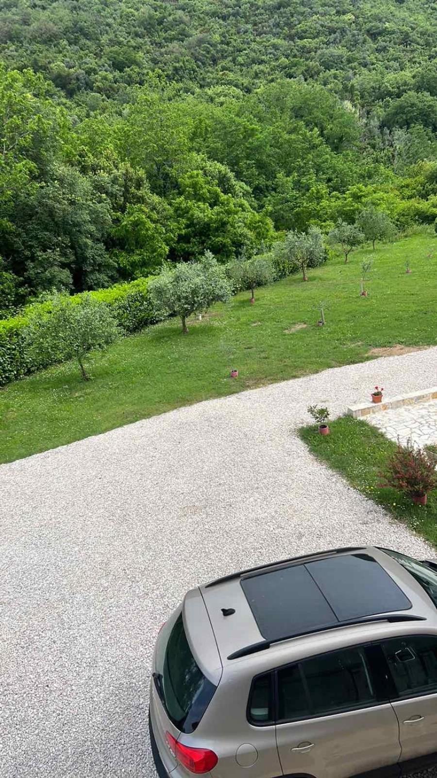 Apartment Elena Tivat Bagian luar foto