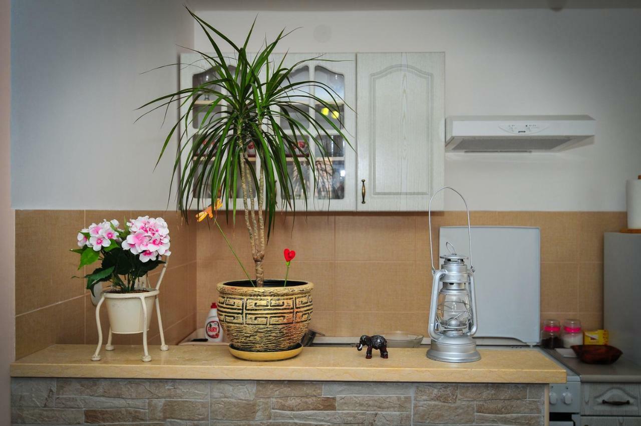 Apartment Elena Tivat Bagian luar foto